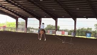 Cowboy - Video 11