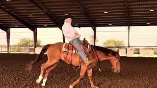 Cowboy - Video 12
