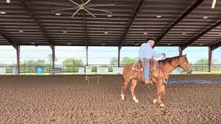 Cowboy - Video 13